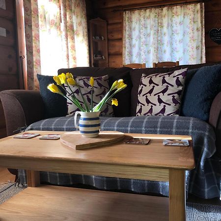 Log Home Village Улверстон Экстерьер фото