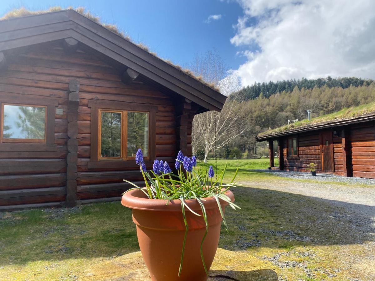 Log Home Village Улверстон Экстерьер фото